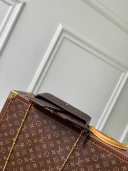 Louis Vuitton Felicie Pochette