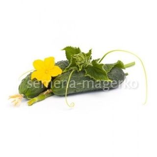 Огурец Ромара F1 100 (семян)