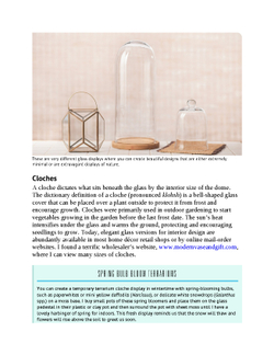 Terrariums - Gardens Under Glass