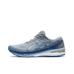 Мужские кроссовки ASICS GT-2000 10 'Sheet Rock Electric Blue' 1011B185-021