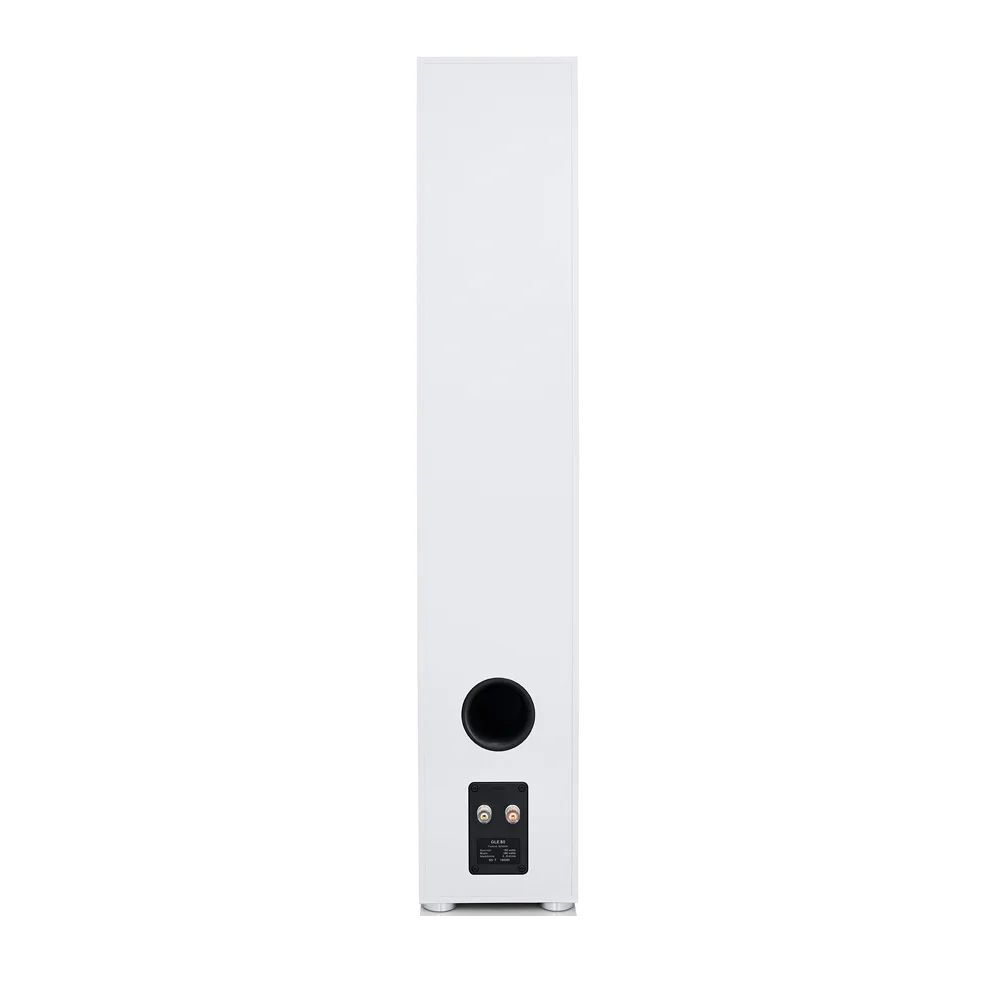 Напольная акустика Canton GLE 80 white