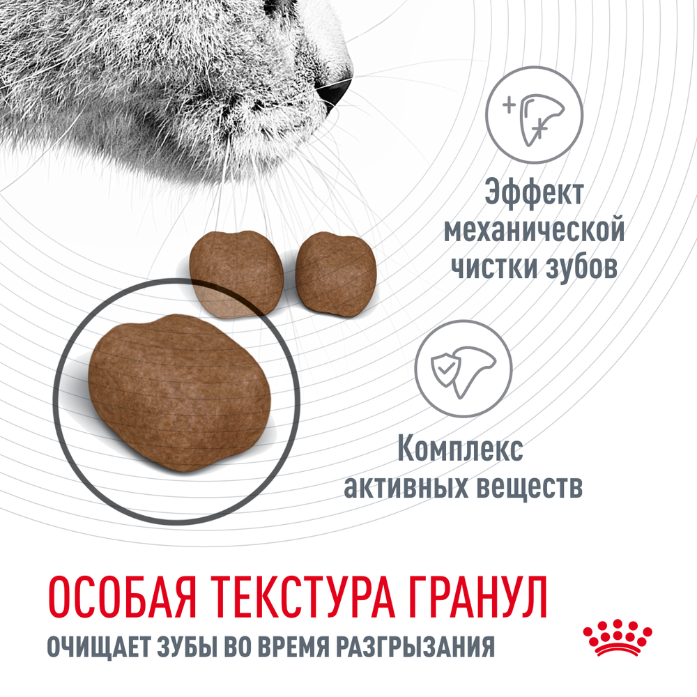 ROYAL CANIN (Роял Канин) Dental Care Корм сухой для взрослых кошек для профилактики образования зубного налета и зубного камня, 400 г