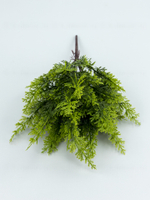 Букет туя Крымская