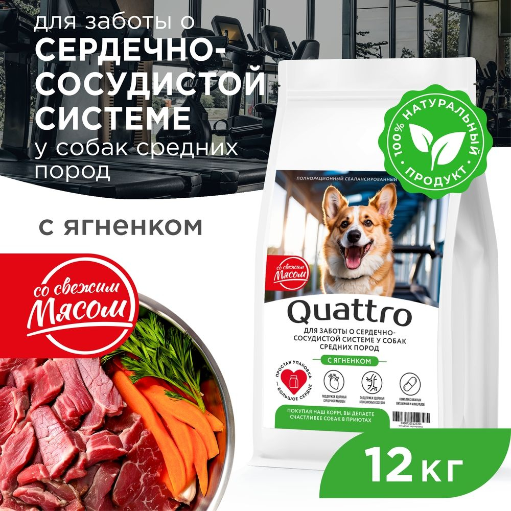 Корм сухой для взрослых собак средних пород, премиум полнорационный комплекс, для сердечно-сосудистой системы, с ягненком, 12 кг, QUATTRO
