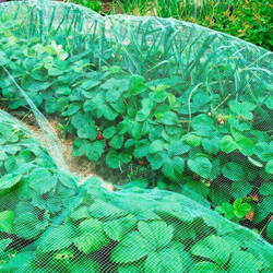 Сетка от птиц PRIVAL 10х10мм, 5x8м