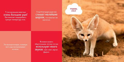 Удивительный мир. Кто прячется в пустыне?