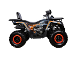 Квадроцикл AVANTIS H250 BIG NEW Basic