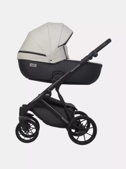 Коляска MONTANA ECCO (2 в 1) (RIKO BASIC)