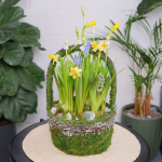 Композиция с первоцветами Лесная корзина L