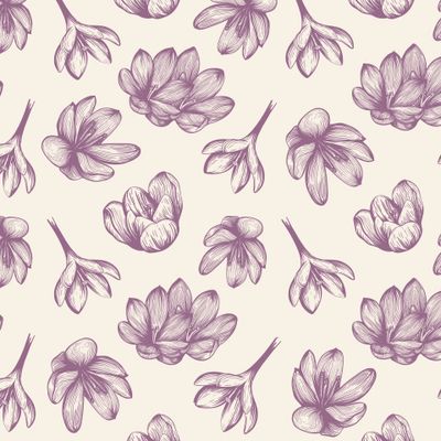 Цветы шафрана на бежевом фоне. Фиолетовые Крокусы