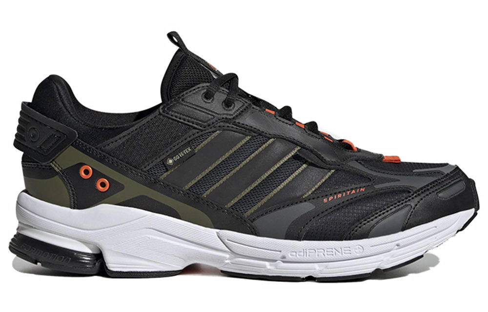 Кроссовки Adidas Spiritain 2000 Gtx