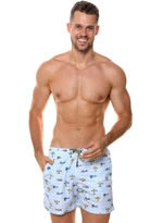 Мужские пляжные шорты с принтом в виде самолетов (Размер: XL) (Цвет: голубой)