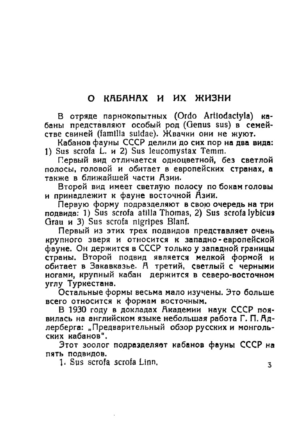 Охота на кабанов | В.Н. Каверзнев