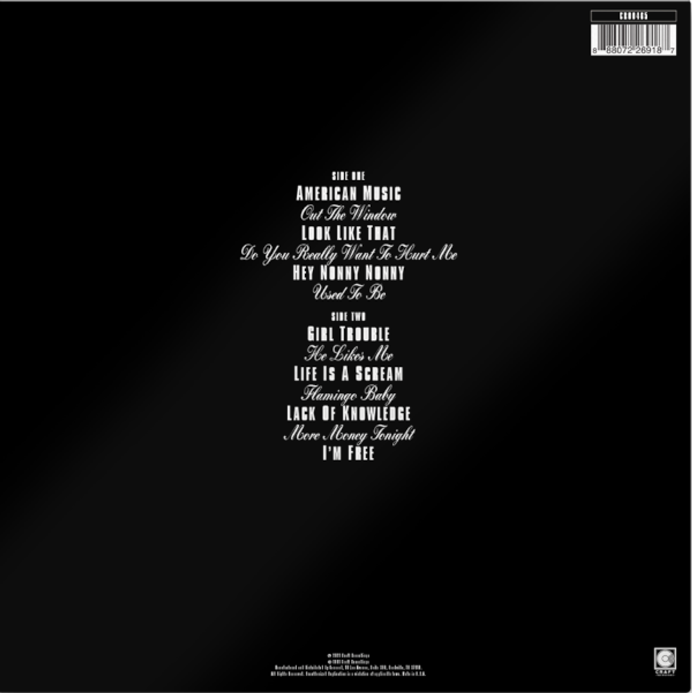 Violent Femmes / Why Do Birds Sing? (LP)