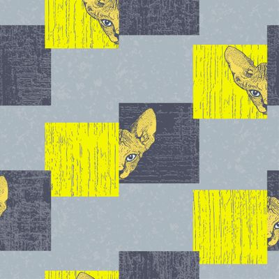 Кот сфинкс и квадраты