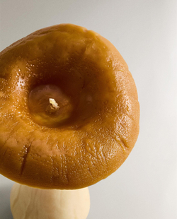 Zara Home - Большая ароматическая свеча гриб тыква spice