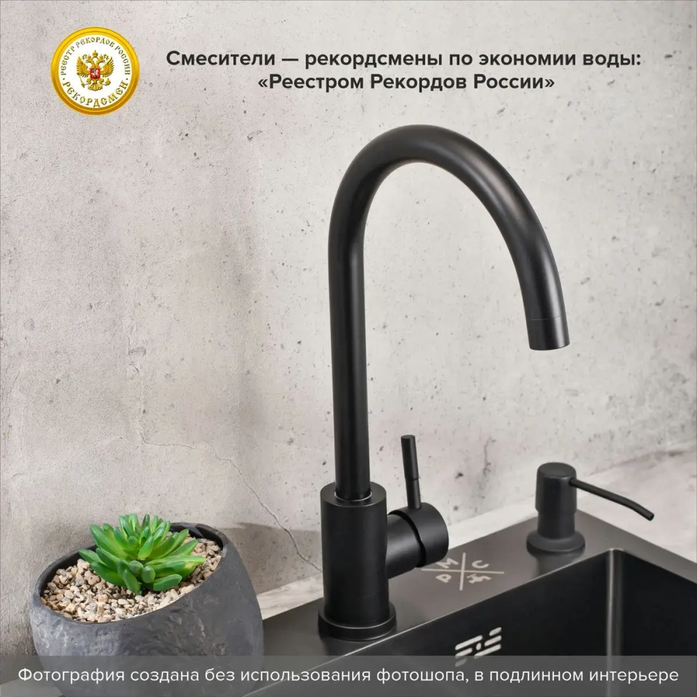 Смеситель для кухни SUS124BL-017F