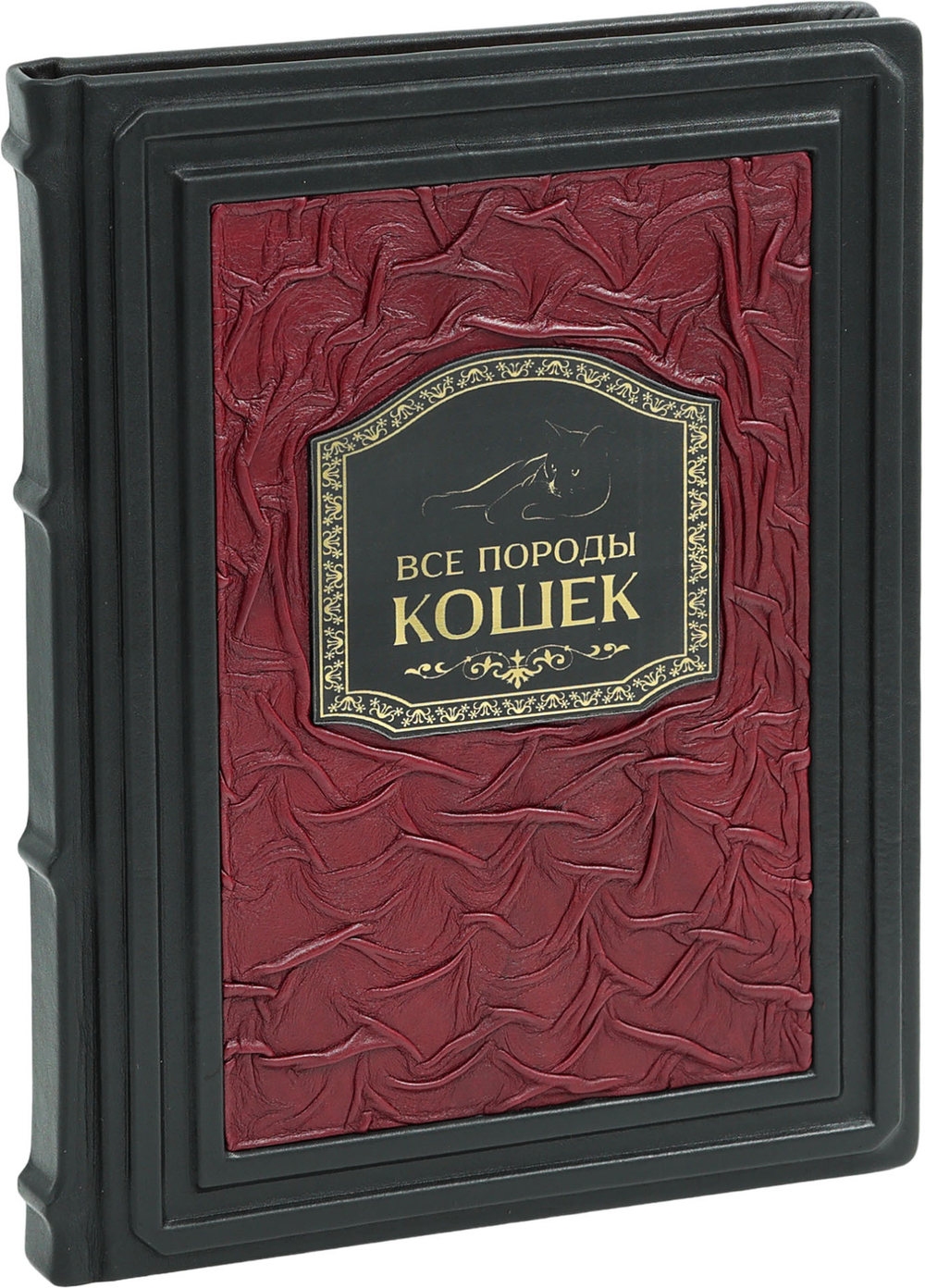 Все породы кошек