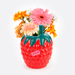 Ваза для цветов 20см Doiy Raspberry