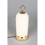 Настольная светодиодная лампа Aployt Ozeynn APL.332.04.10