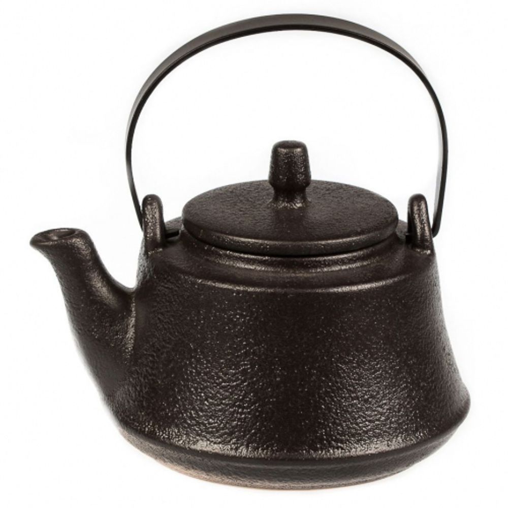 chaynik-s-metallicheskim-sitom-black-star-600-ml-p-l-proff-cuisine-lg