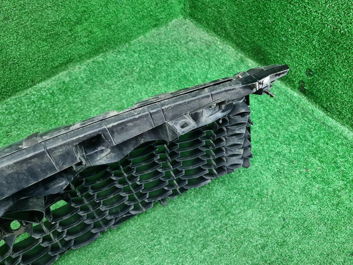 Решетка радиатора Infiniti QX80 (2017-2020)