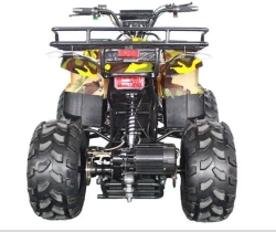Электроквадроцикл Green Camel Атакама T400 (60V 1500W R8 Дифференциал, Пониженная