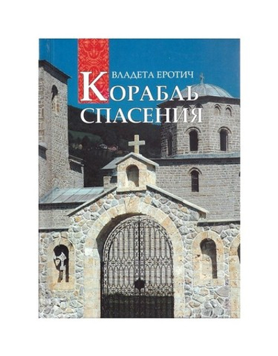 Корабль спасения. 40 вопросов к православному психотерапевту