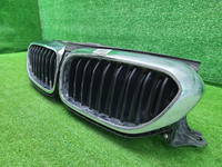 Решетка радиатора BMW 5er G30 (2017-2020)