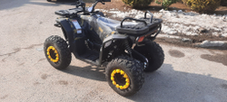 Квадроцикл бензиновый MOTAX GRIZLIK W200