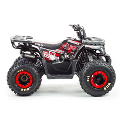 Квадроцикл MOTOLAND Wild 150