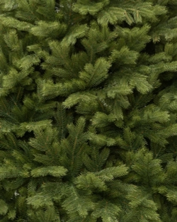 Искусственная елка Эрмитажная 270 см., 100% литая хвоя, ЕлкиТорг (94270)