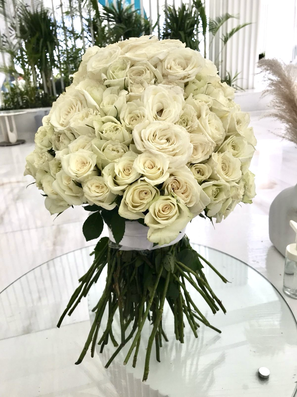 141 Белая Роза