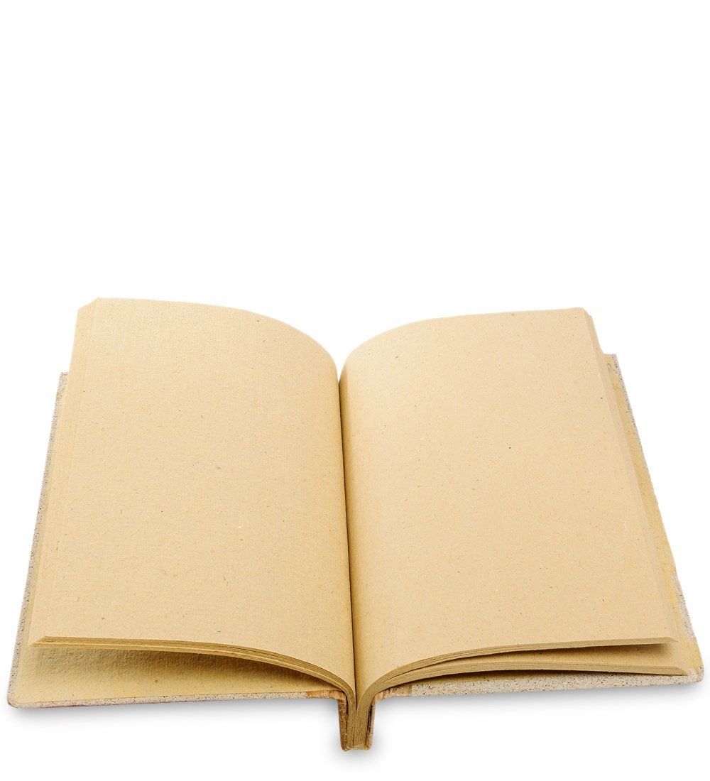 Decor and Gift 16-064 Блокнот «Стрекозы» бол. (о.Бали)