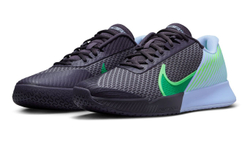 Мужские кроссовки теннисные Nike Zoom Vapor Pro 2 - gridiron/stadium green/cobalt bliss