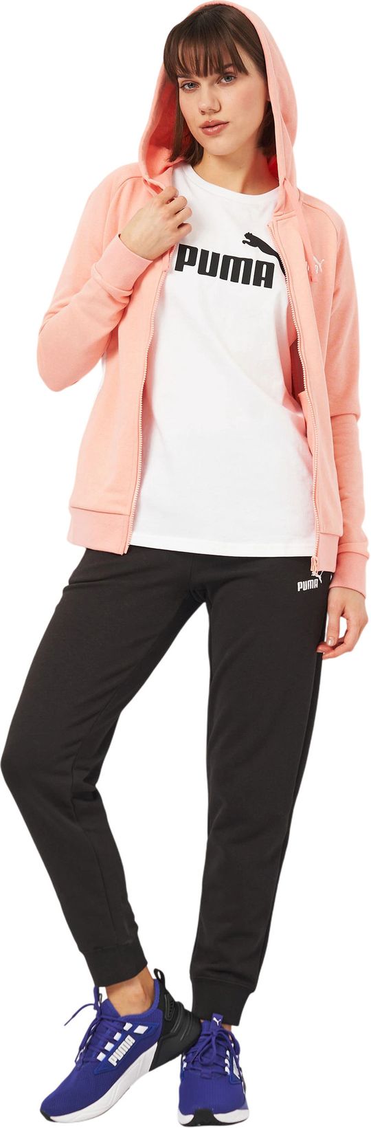 Костюм спортивный Puma Hooded Sweat Suit TR cl