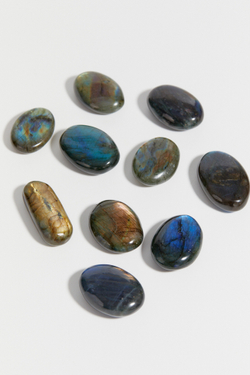 Лабрадор палмстоун S