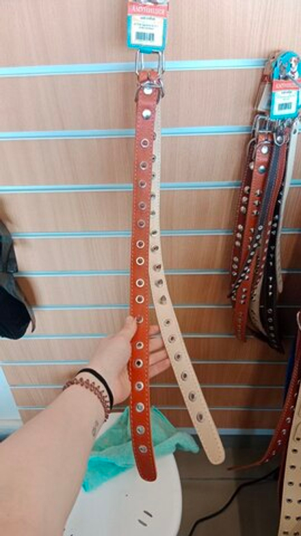 Ошейник №25 1 слой с шипами