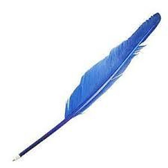 Feather Pens Mixed