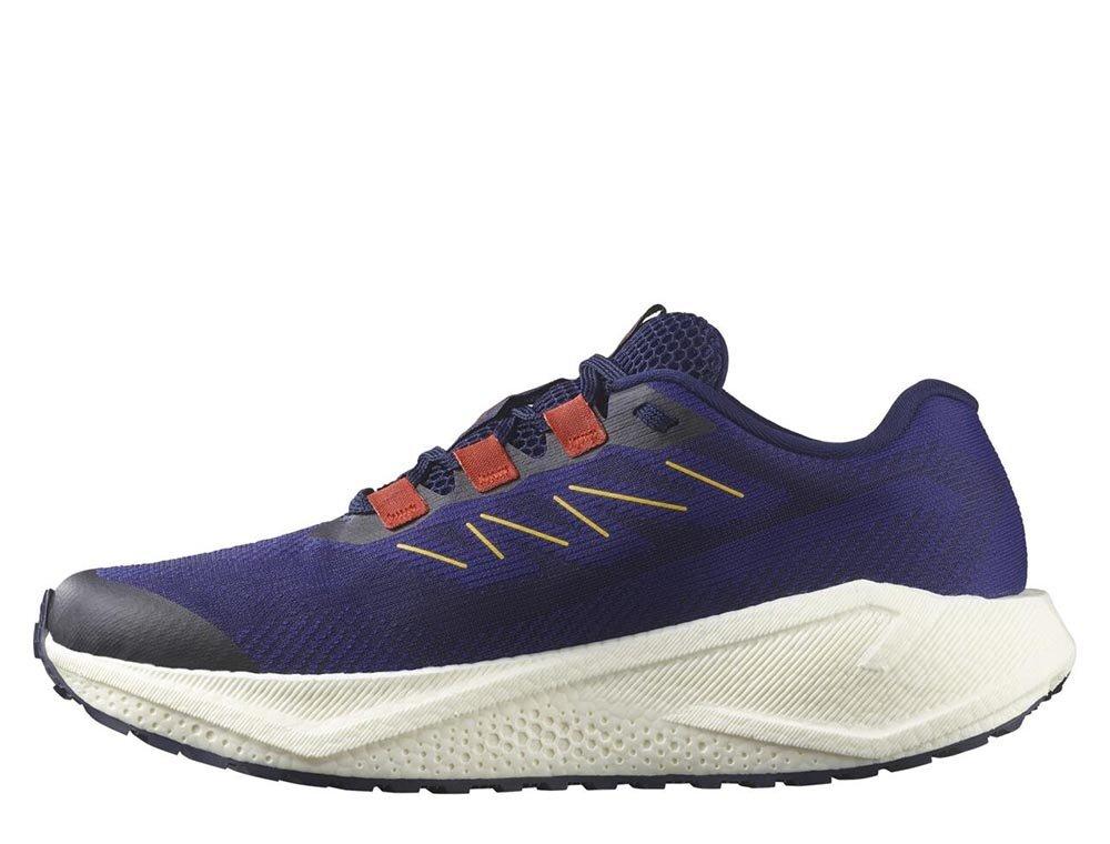 Кроссовки для бега мужские Salomon Aero Blaze 3 GRVL M Зеленовато-Фиолетовые