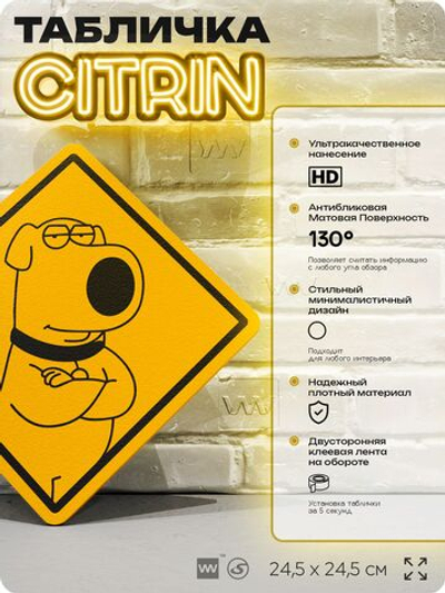 Табличка декоративная "Брайан Гриффин" из сериала Гриффины на дверь и стену, прикольная штука в подарок фанату, декоративный знак ЦИТРИН, 24,5х24,5 см, пластиковая, Айдентика Технолоджи