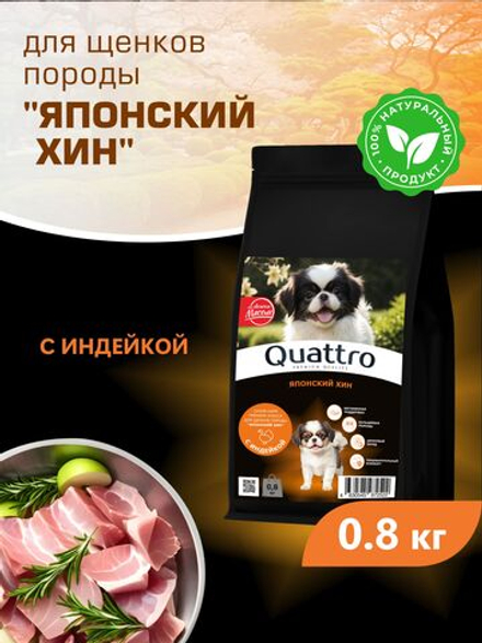 Корм сухой для щенков породы Японский хин, с индейкой, 800 гр, QUATTRO