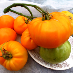 Помидоры German Orange Strawberry — Клубника Оранжевая