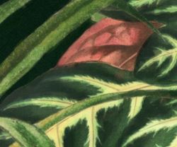 Бесшовная фреска 23391, 2,7 м (Ширина 4 м)