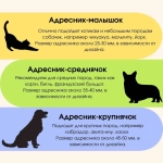 Пряничный чувак