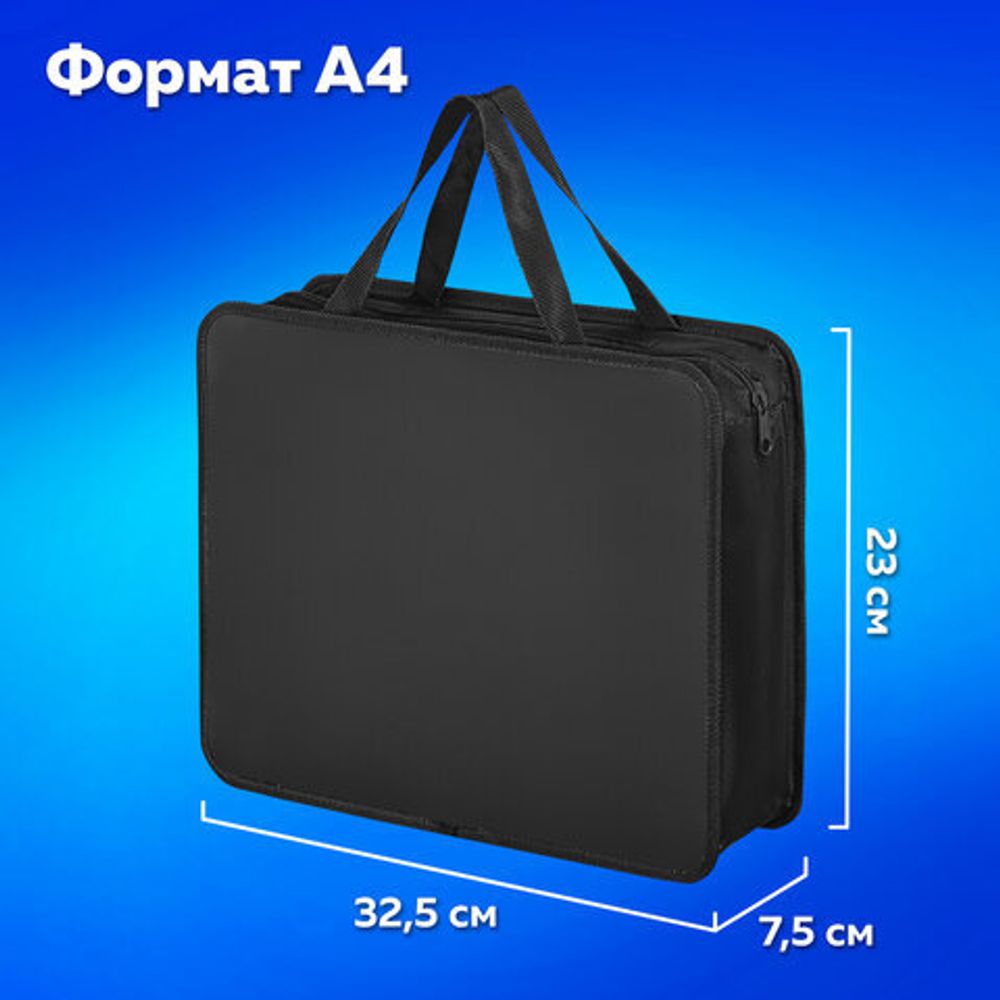 Папка на молнии с ручками ПИФАГОР, А4, пластик, молния сверху, однотонная черная, 272110