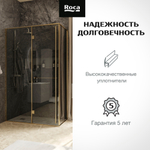 Дверь распашная Roca Apex левая с боковой панелью 1200x800 мм, профиль матовое золото, стекло тонированное ZRU9307876