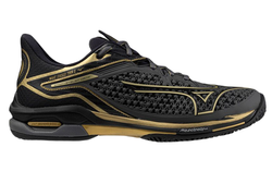 Мужские кроссовки теннисные Mizuno Wave Exceed Tour 6 AC 10TH - черный