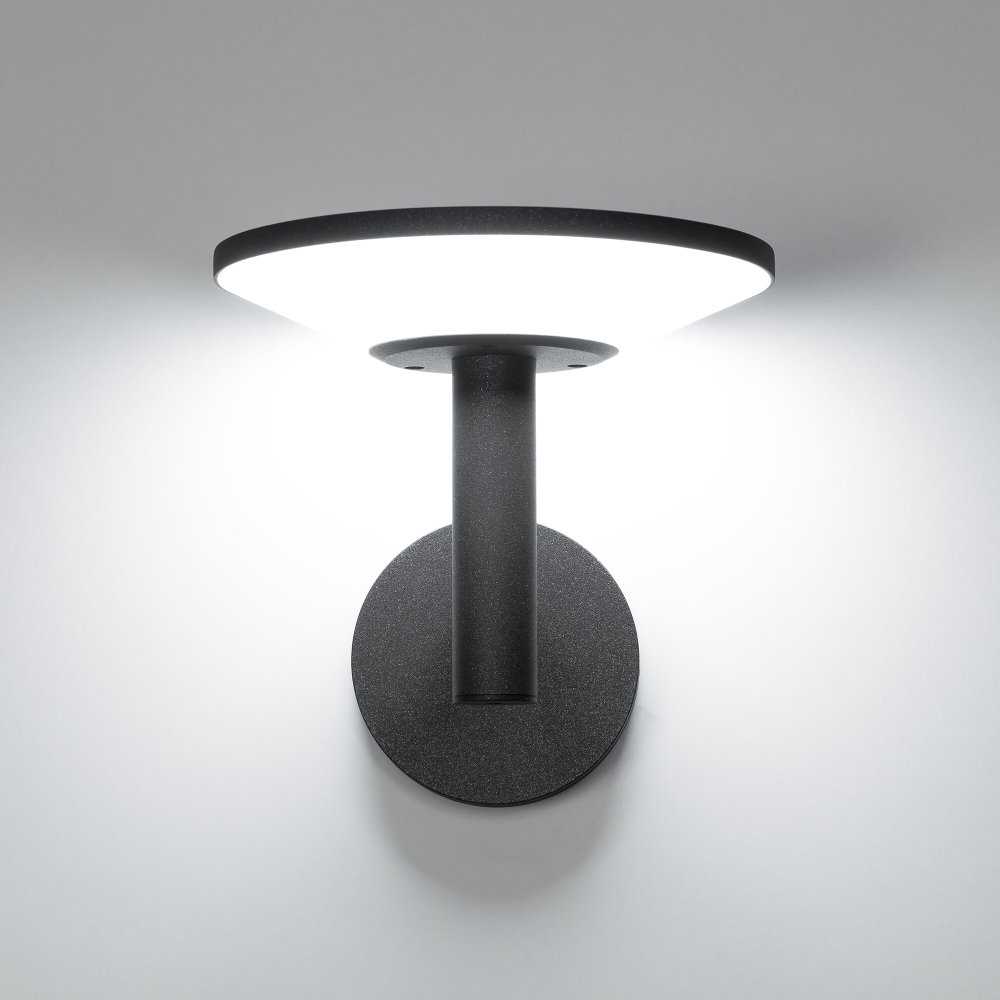 Citilux Dorn CLU05W LED Уличный настенный светильник Графит