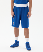 Шорты боксерские INSANE RBF, синий